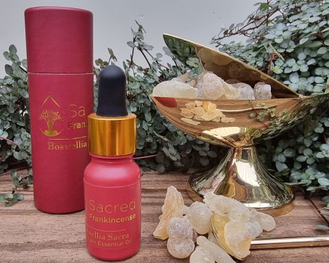 Buy Our Sacred Frankincense Oil Now!