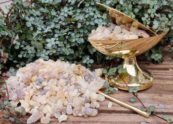 Sacred Frankincense – Caramel Hojari (Boswellia Sacra)