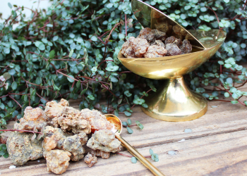Sacred Myrrh – Premium Somalian (Commiphora myrrha)